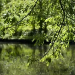Maison Cosy Et Paisible En Ardenne Pres De La Meuse Hastiere-par-dela