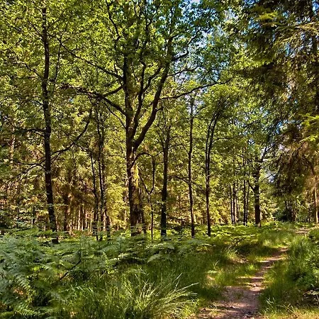 Maison Au Calme Dans Un Domaine Boise Hastiere-par-dela