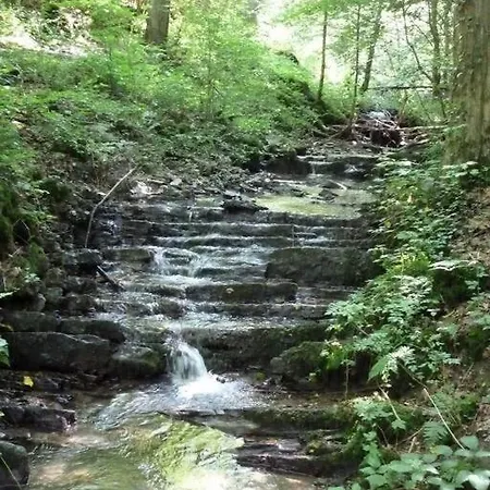 Maison Au Calme Dans Un Domaine Boise *