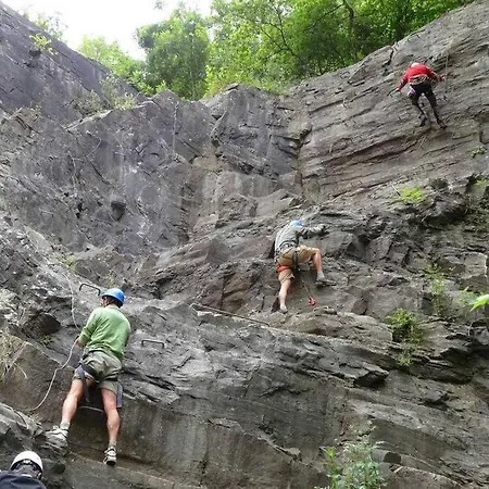Maison Au Calme Dans Un Domaine Boise * Hastiere-par-dela